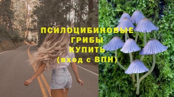 PSILOCYBIN Верхнеуральск