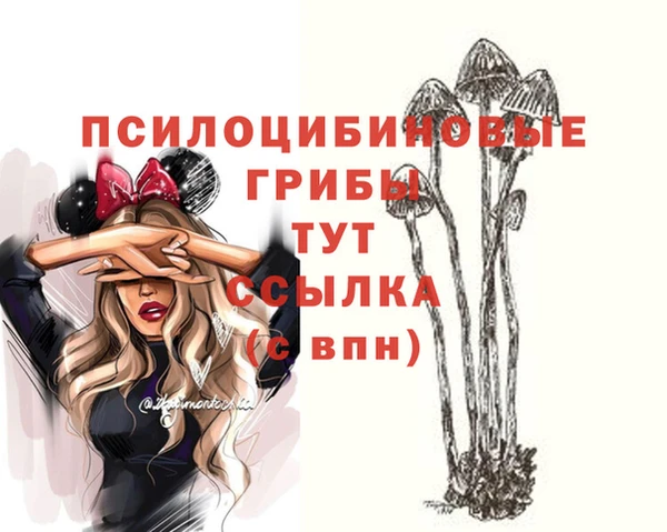 стафф Верея